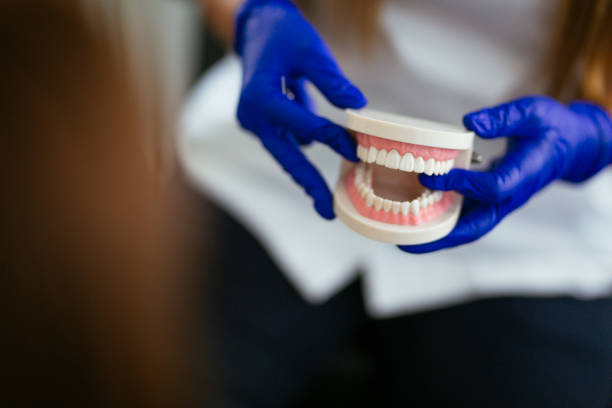 Professional Holistic Dental Care Services in De Soto, IL